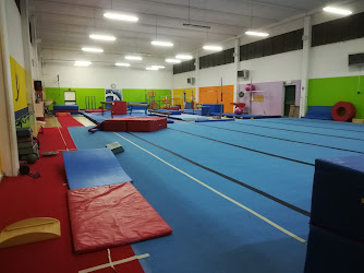 La Ruota Gymnastic Academy A.S.D.
