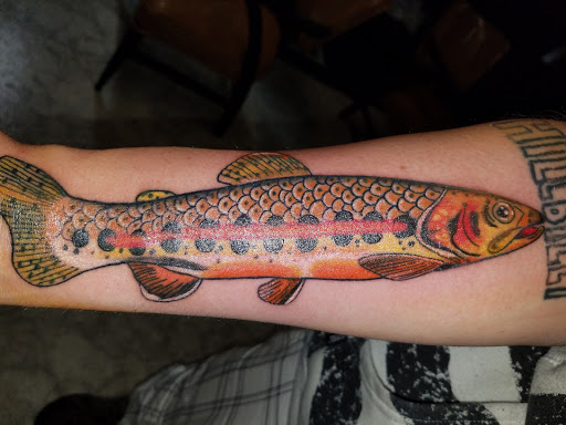 Tattoo Shop «Assassins Tattoo Shop», reviews and photos, 405 Reed Ave, Kalamazoo, MI 49001, USA