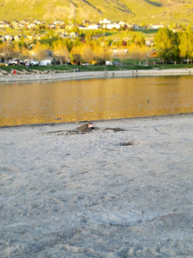 Park «Manila Creek Park», reviews and photos, 706 W 3300 N, Pleasant Grove, UT 84062, USA