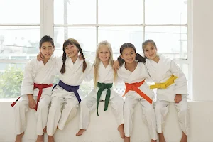 Knoxville Academy of Martial Arts image