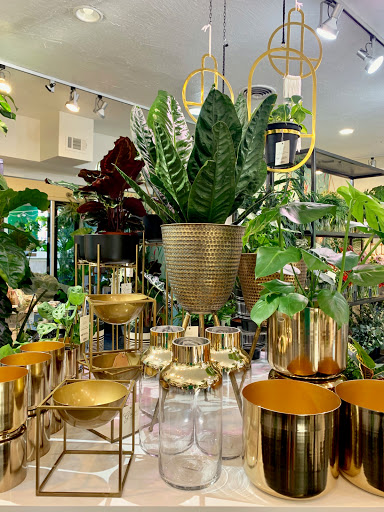 Florist «Green Fresh Florals», reviews and photos, 3785 Fourth Ave, San Diego, CA 92103, USA