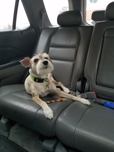 Pet Supply Store «Pet Supplies Plus», reviews and photos, 9430 W 159th St, Orland Park, IL 60467, USA