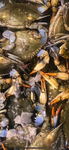 Grocery Store «Kim Thanh Supermarket», reviews and photos, 3086 S Redwood Rd, Salt Lake City, UT 84119, USA