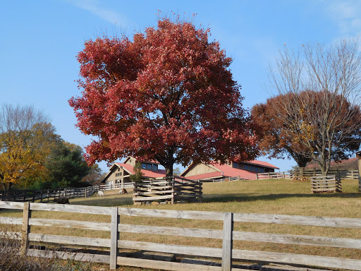 Tourist Attraction «Maymont», reviews and photos, 1700 Hampton St, Richmond, VA 23220, USA