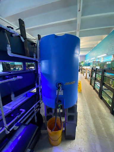 Aquarium «Skoolz of Fish», reviews and photos, 1503 Chamberlayne Ave, Richmond, VA 23222, USA