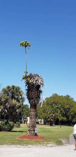 Golf Club «East Bay Golf Club», reviews and photos, 702 Country Club Dr, Largo, FL 33771, USA