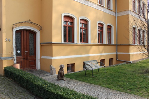 Kleintierpraxis Dr. med. Vet. Jörg Mewes unter Magdeburg, 