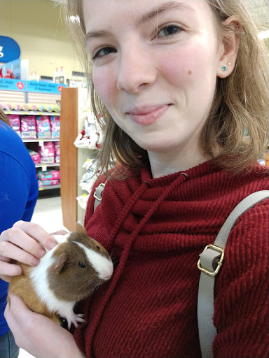 Pet Supply Store «PetSmart», reviews and photos, 3601 Rib Mountain Dr, Wausau, WI 54401, USA