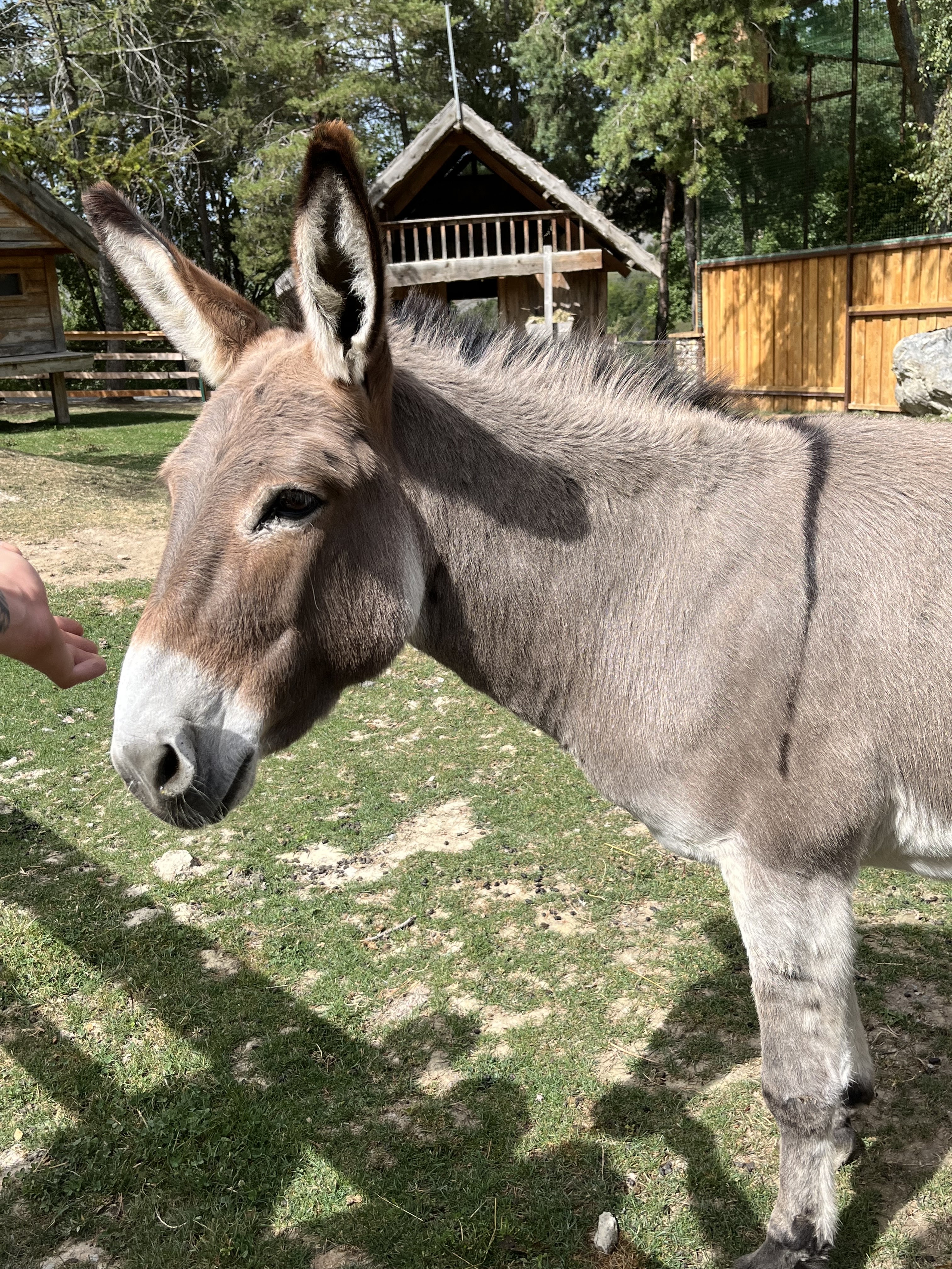 Photo n° 13 de l'avis de Lucille.p fait le 10/08/2023 à 21:42