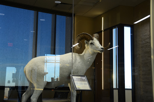 Sporting Goods Store «Brownells, Inc.», reviews and photos, 3006 Brownells Pkwy, Grinnell, IA 50112, USA