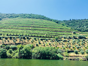 CMTOUR - Douro Valley Tours
