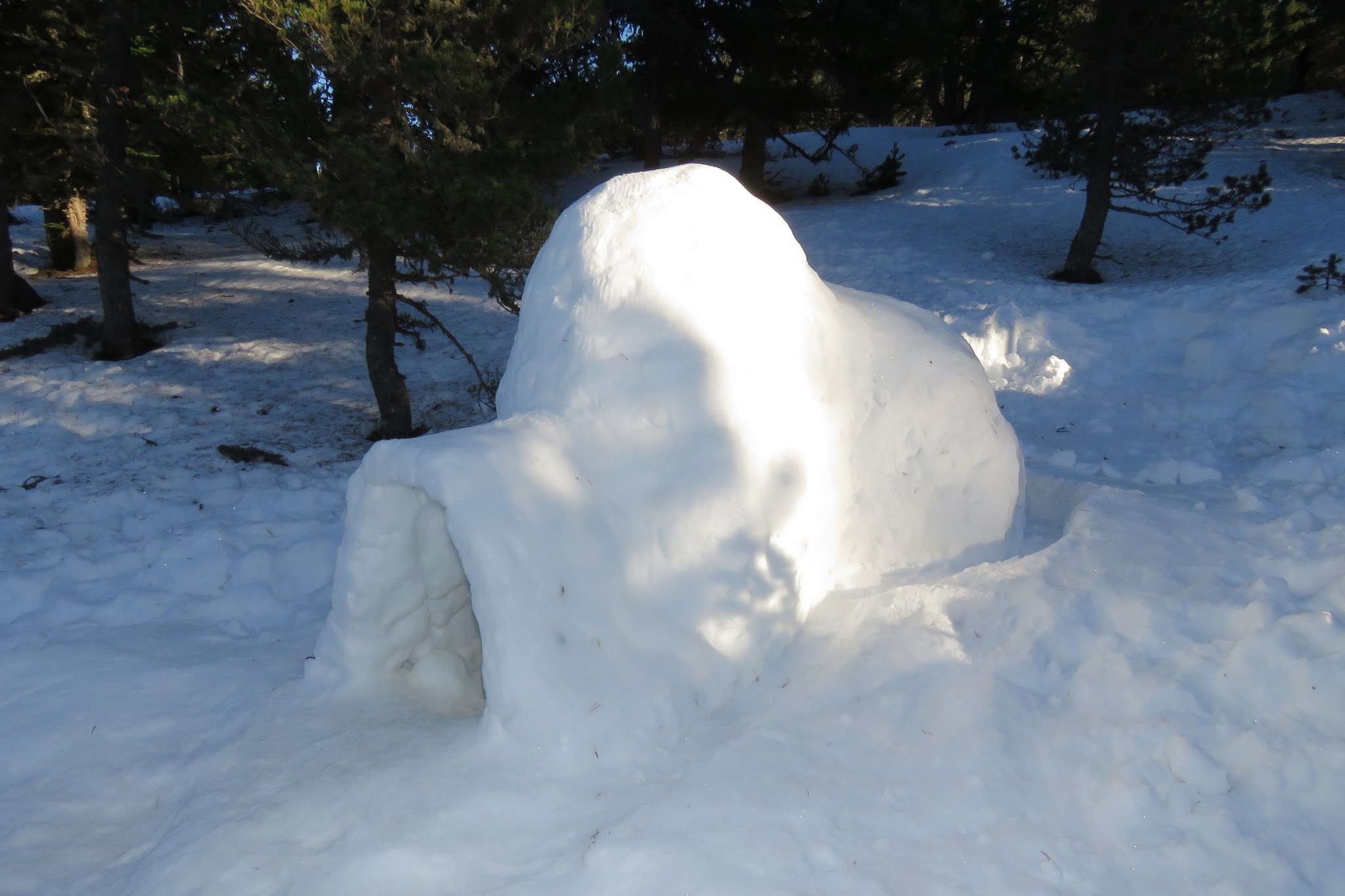 Photo n° 12 de l'avis de Phil'Ours.h fait le 09/01/2018 à 05:29