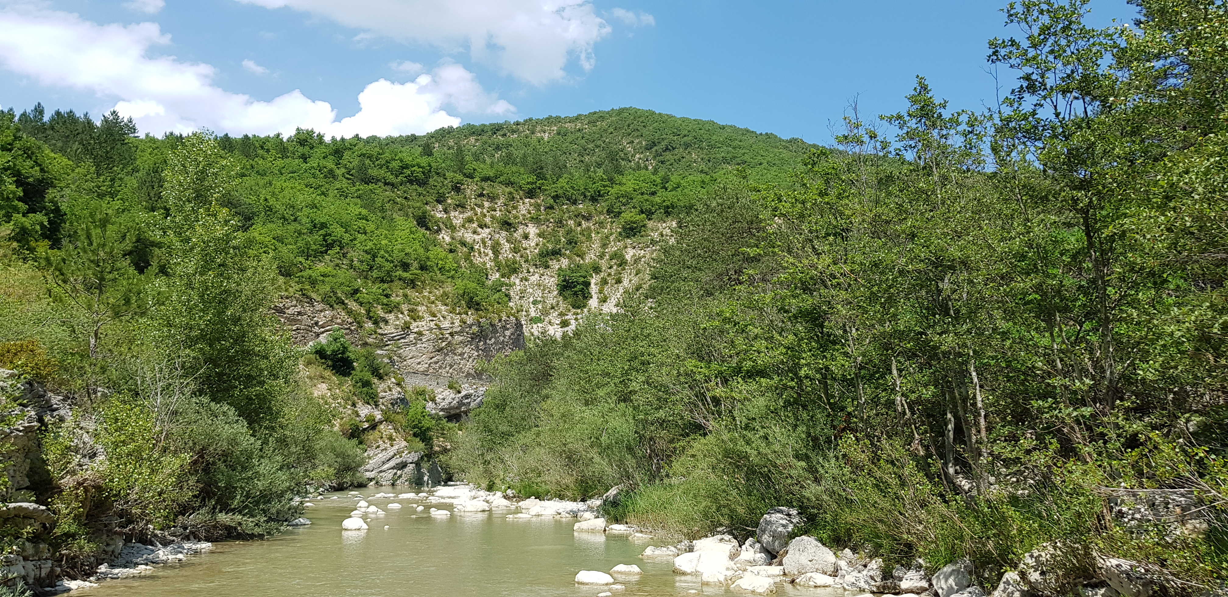 Photo n° 37 de l'avis de Radouane.e fait le 06/07/2019 à 20:52