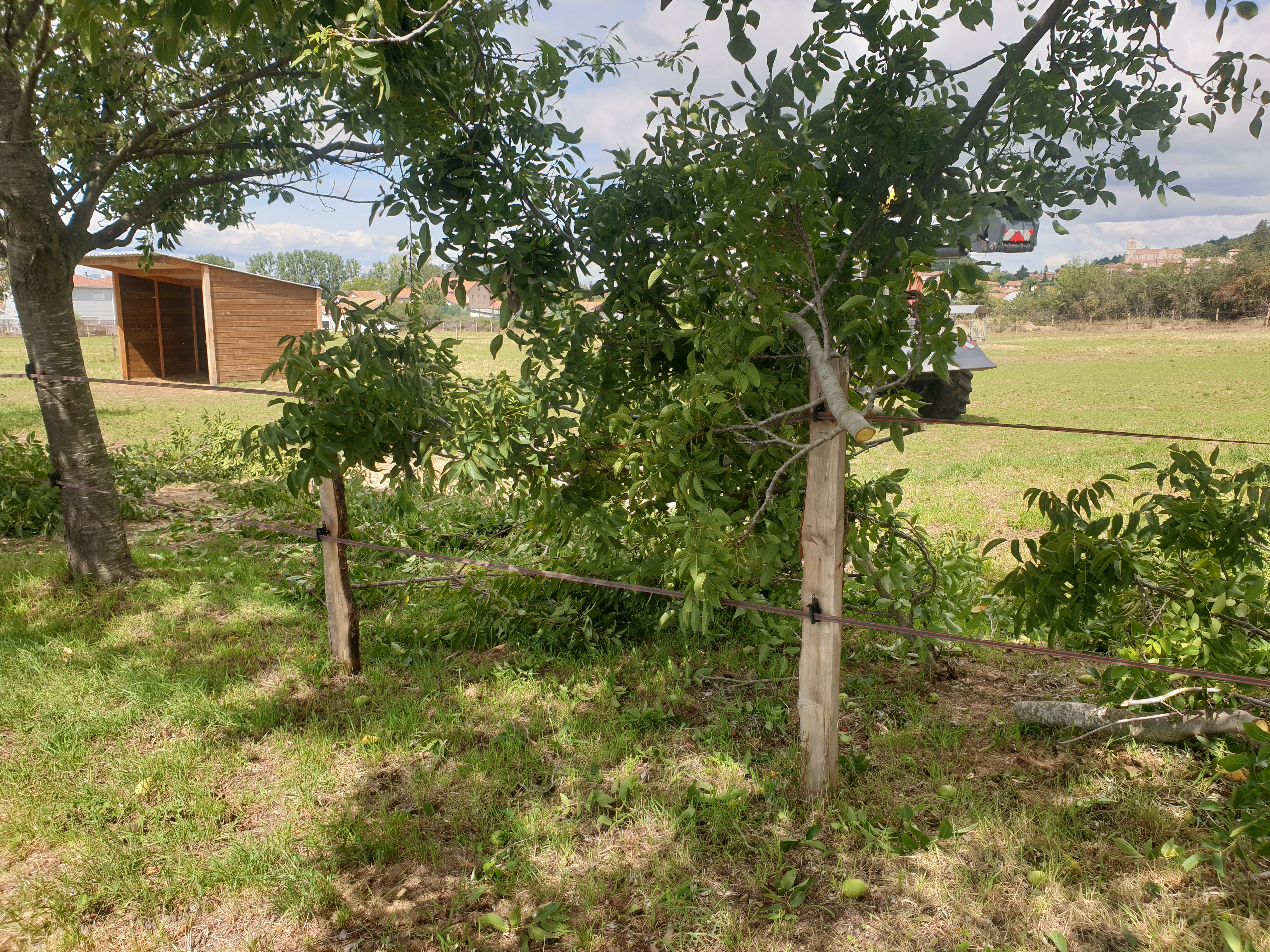 Photo n° 2 de l'avis de thierry.A fait le 23/08/2022 à 12:10
