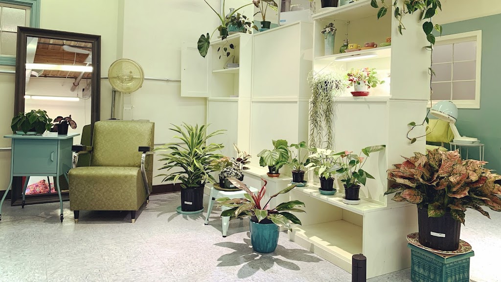 Haircuts and Houseplants 01039