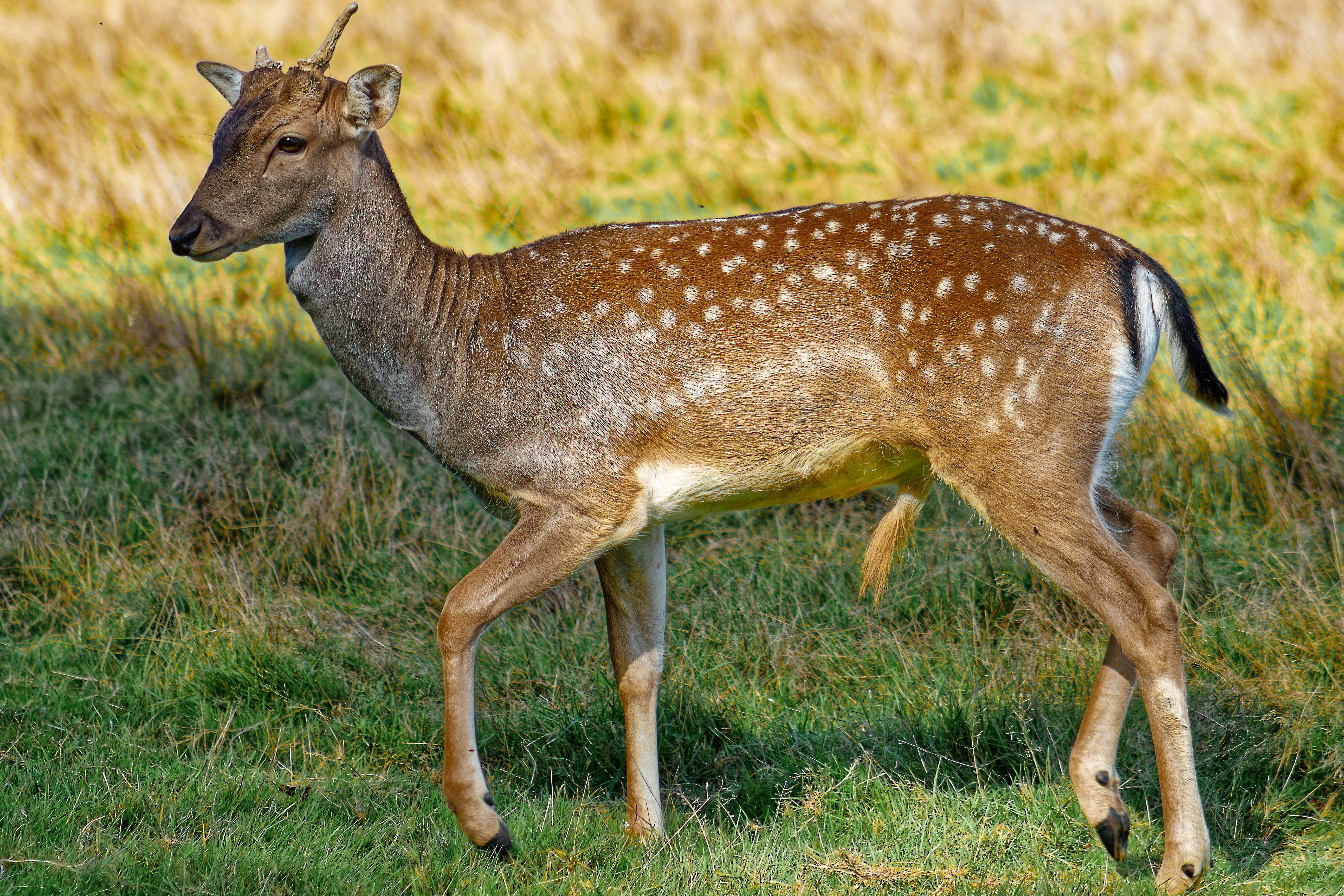 Photo n° 3 de l'avis de Eloise. fait le 23/10/2023 à 07:47