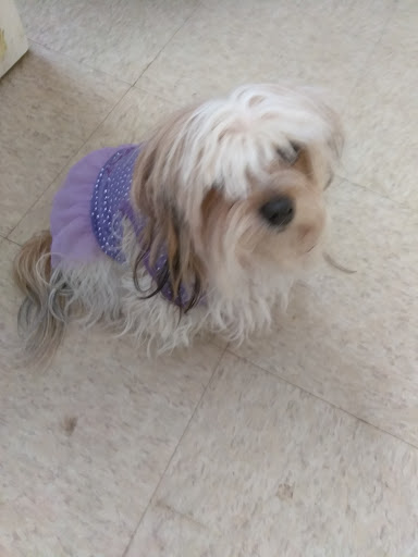 Pet Supply Store «Pet Supplies Plus», reviews and photos, 175 Memorial Ave, West Springfield, MA 01089, USA