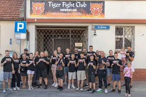 Tiger Fight Club image