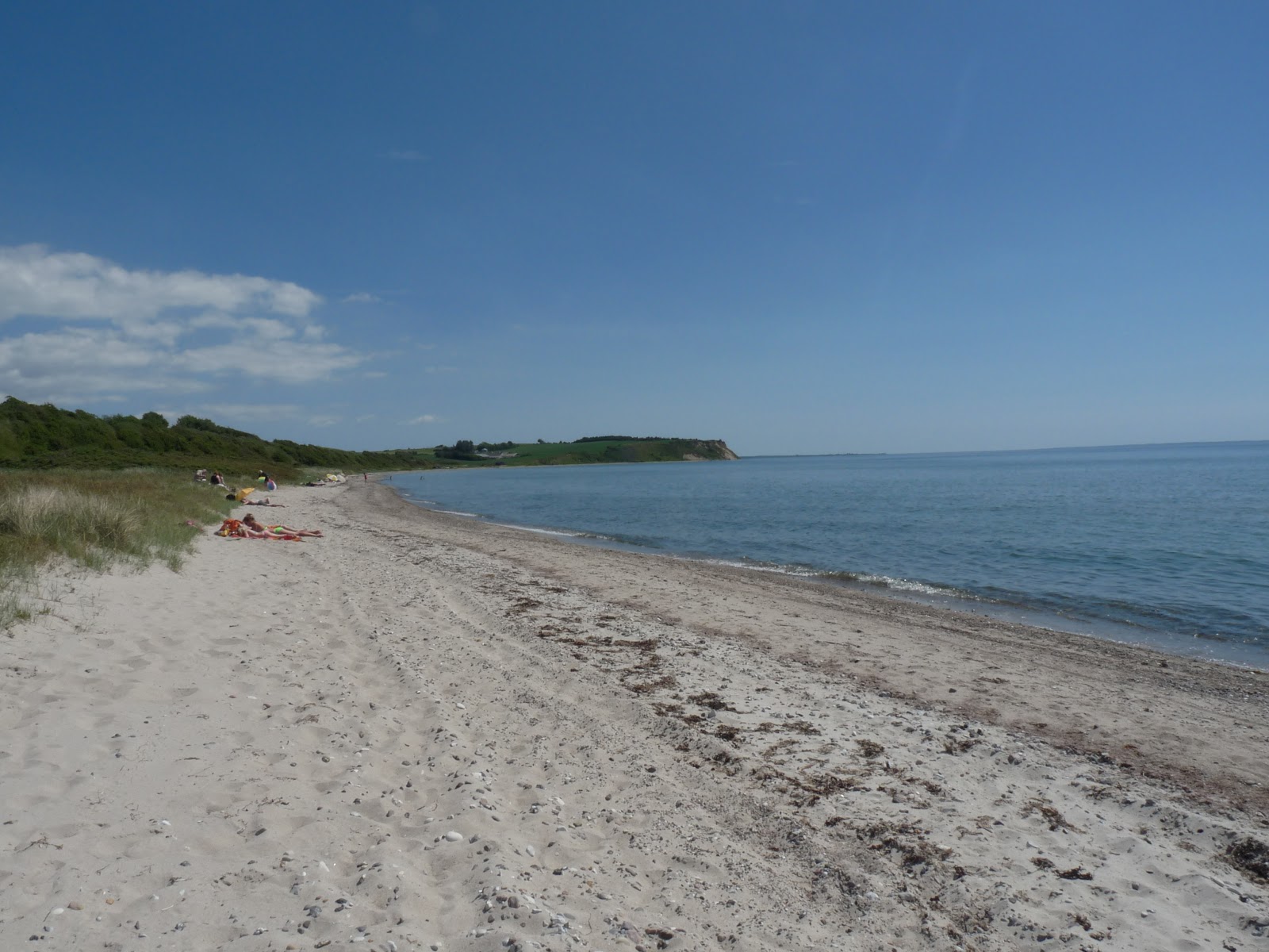 Photo of Saltofte Beach with long straight shore