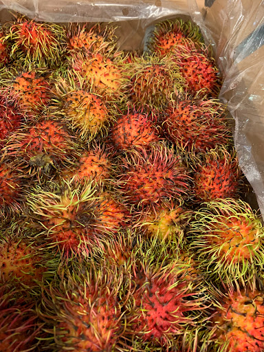 Grocery Store «Asian Market», reviews and photos, 1043 Pedigo Way # 8, Bowling Green, KY 42103, USA