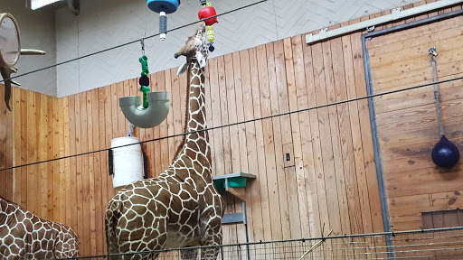 Zoo «Arctic Ring of Life», reviews and photos, 8450 W 10 Mile Rd, Royal Oak, MI 48067, USA