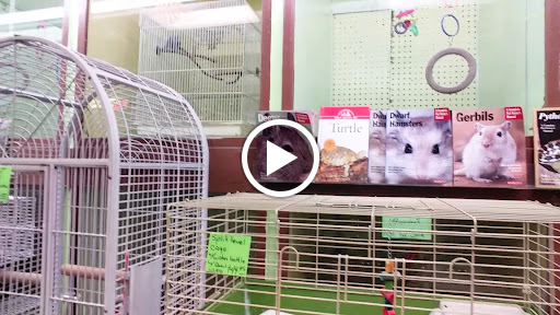 Pet Store «Pettin Place», reviews and photos, 1121 S Wells Ave, Reno, NV 89502, USA