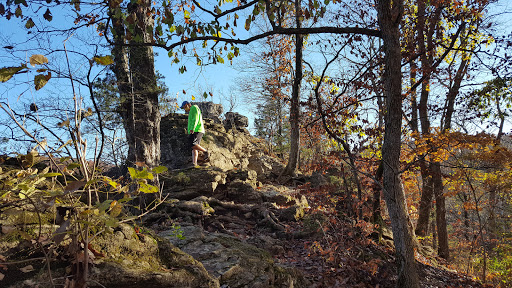 Insulation Contractor «Home Performance Experts», reviews and photos