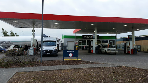 EG Ampol Woolworths Petrol