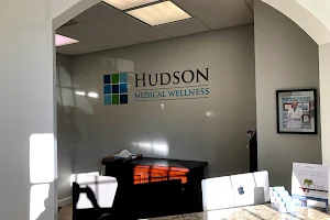 Hudson Medical Wellness image