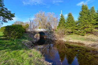 River Run Kennels