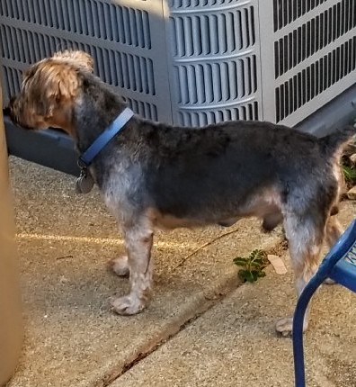 Pet Supply Store «Rucker Horse & Pet», reviews and photos, 3540 Keith Bridge Rd, Cumming, GA 30041, USA