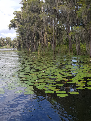 Country Club «Isleworth Golf & Country Club», reviews and photos, 6100 Payne Stewart Dr, Windermere, FL 34786, USA