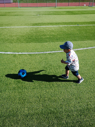 Sportplatz FC Hörbranz - Sportstätte