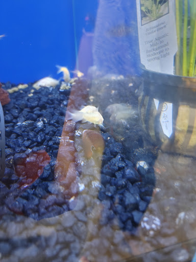 Pet Supply Store «IncrediPet», reviews and photos, 306 Southland Dr, Lexington, KY 40503, USA