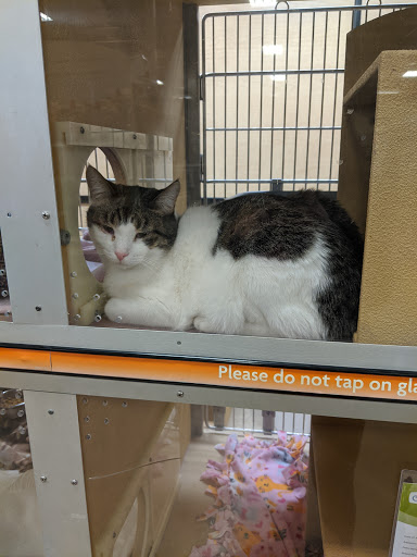 Pet Supply Store «PetSmart», reviews and photos, 1450 Spring Meadows Dr, Holland, OH 43528, USA