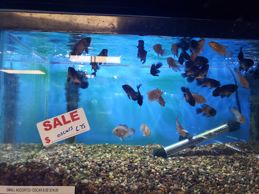 Pet Store «Animal Island Pet Shop», reviews and photos, 14411 S Cicero Ave, Midlothian, IL 60445, USA