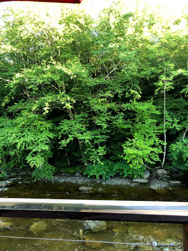 Restaurant «Matterhorn Restaurant», reviews and photos, 4969 Mountain Rd, Stowe, VT 05672, USA