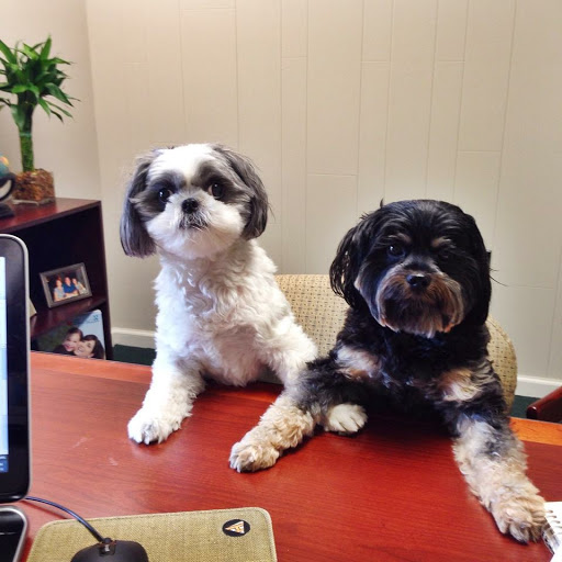 Insurance Agency «The Juengel Agency», reviews and photos, 1278 Hendersonville Rd c, Asheville, NC 28803, USA