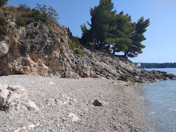 FKK Nudist Beach Cavtat'in fotoğrafı çok temiz temizlik seviyesi ile