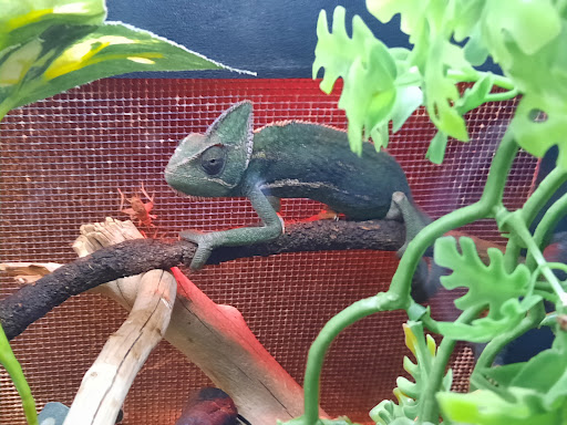 Pet Supply Store «Pet Expo Distributors», reviews and photos, 1800 Adams St, Mankato, MN 56001, USA