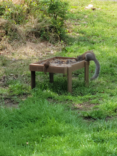 Nature Preserve «Piedmont Environmental Center», reviews and photos, 1220 Penny Rd, High Point, NC 27265, USA