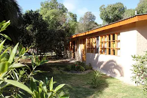 Hostal el arbol beach image