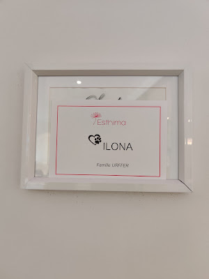 Incinéris à Pontpierre