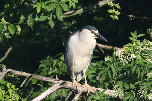  «Ocean City Welcome Center», reviews and photos, 300 W 9th St, Ocean City, NJ 08226, USA