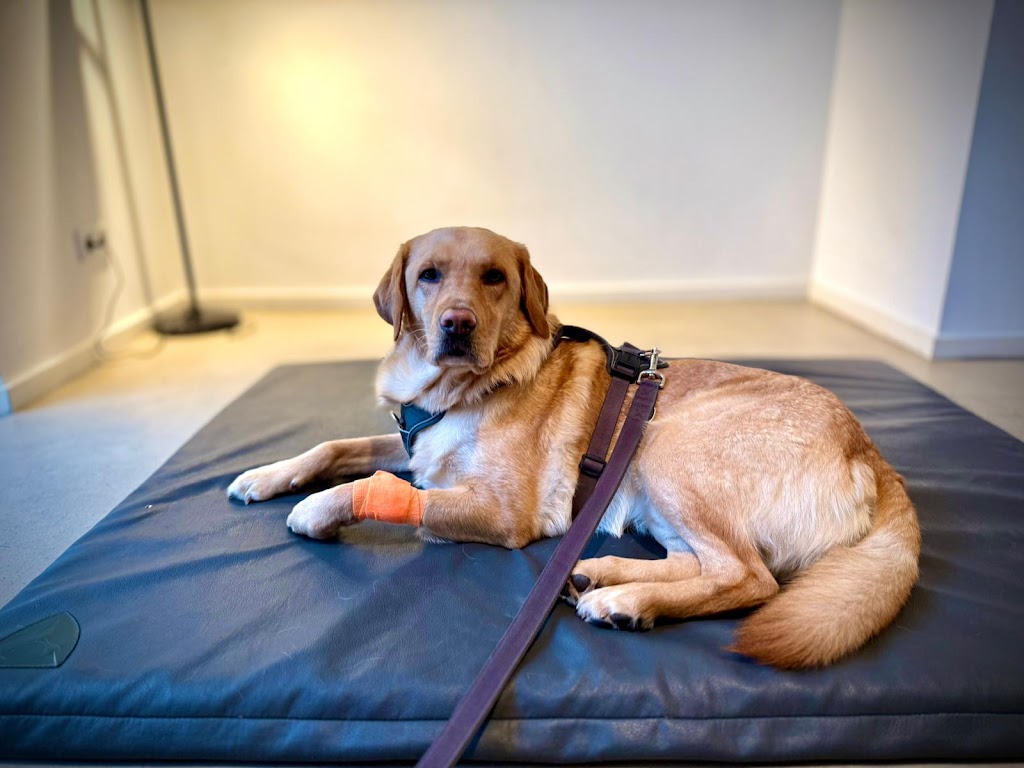 Dr. Alexandra Keller