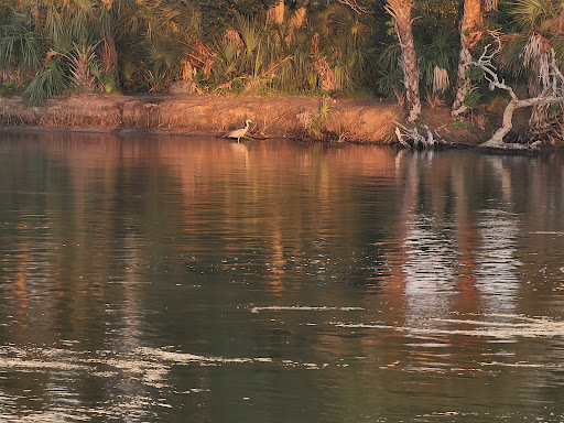 Nature Preserve «Scottsmoor Flatwoods Sanctuary East», reviews and photos, 6000 Magoon Ave, Mims, FL 32754, USA