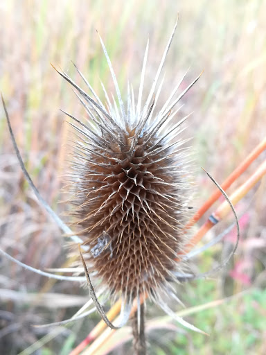 Park «Skiles Test Nature Park», reviews and photos, 6828 Fall Creek Rd, Indianapolis, IN 46220, USA