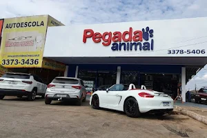 Pegada Animal Ceilândia | Clínica 24h image