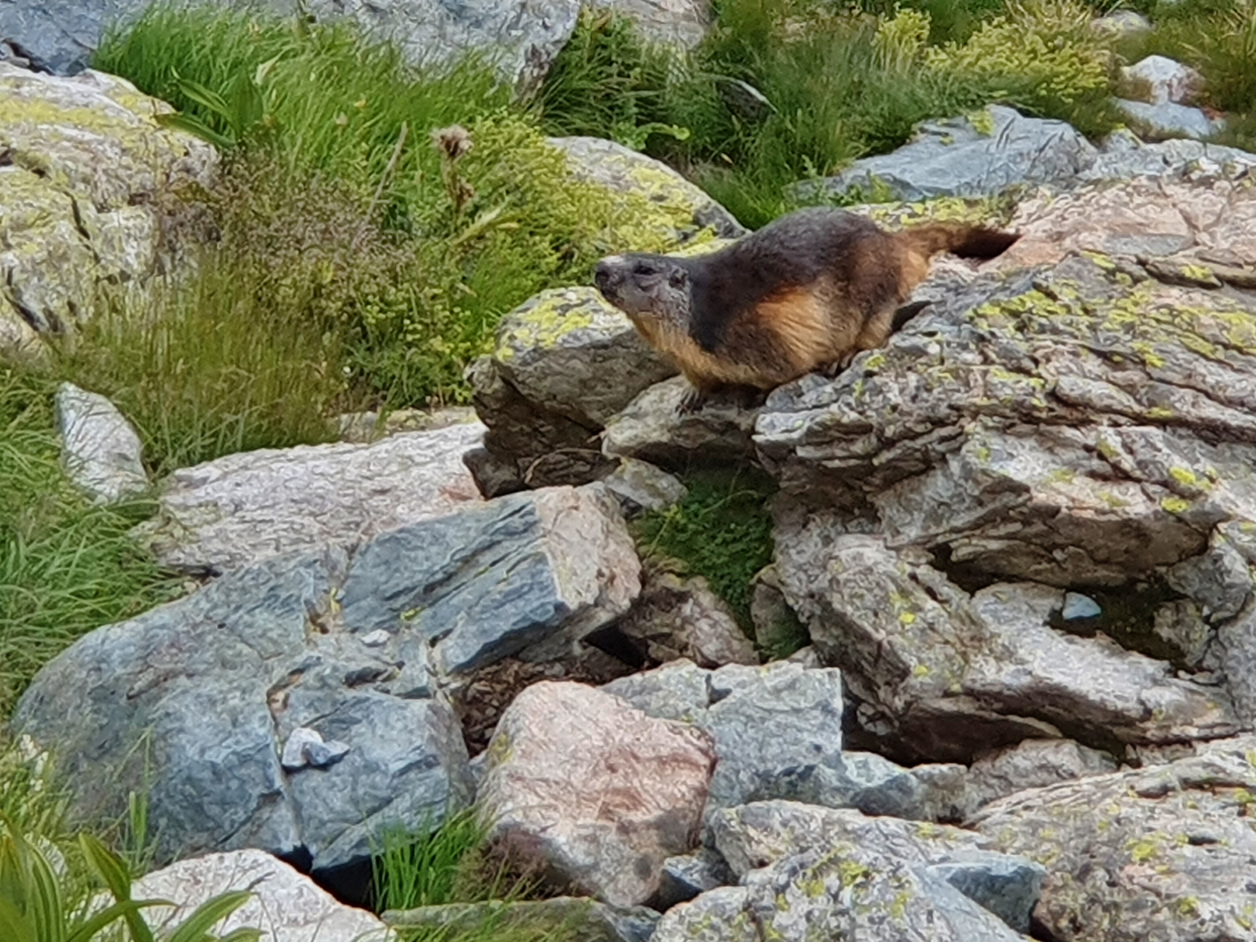 Photo n° 3 de l'avis de Laurent.r fait le 23/08/2020 à 16:09