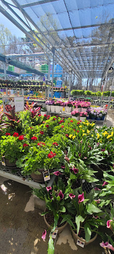 Home Improvement Store «The Home Depot», reviews and photos, 3355 Cobb Pkwy N, Acworth, GA 30101, USA